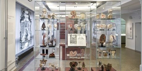 Museo di storia della medicina della Charité, sala espositiva