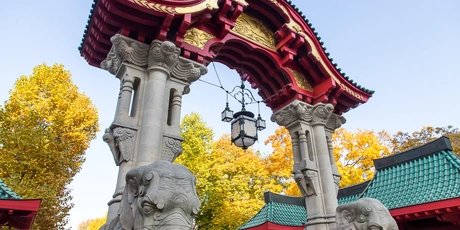 Berlin attraction Zoological Garden