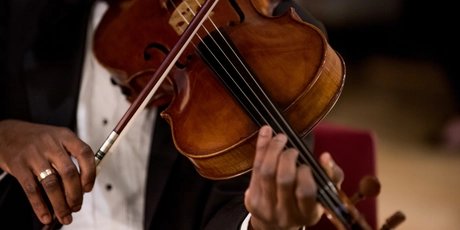Musicista con violino