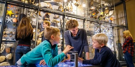 Les enfants au Musée de la Nature de Berlin