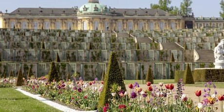 Schloss Sanssouci