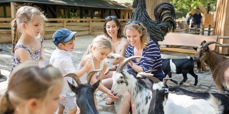 Streichelzoo im Zoo Berlin mit Kindern