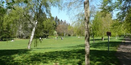 Ballspielwiese im Volkspark Rehberge 