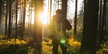 Wanderung im Wald