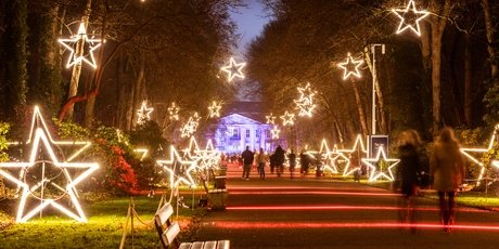Sternenlichter bei Weihnachten im Tierpark, Friedrichsfelde