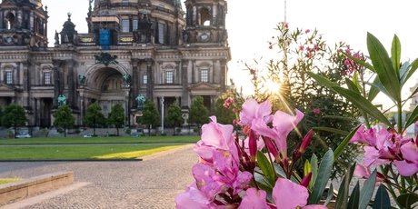 Berliner Dom