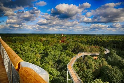 Baumkronenpfad Beelitz-Heilstätten