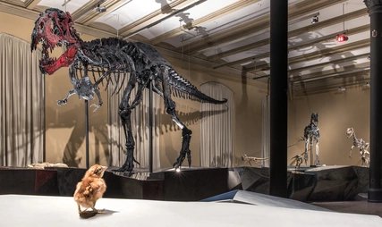 Esqueleto de dinosaurio Tristán en Berlín, Museo de Historia Natural