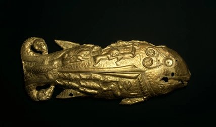 Schildzier: Fisch
