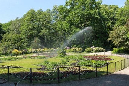 Luiseninsel im Tiergarten