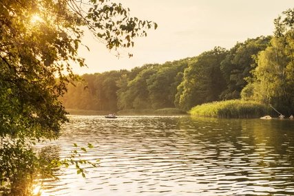 Mit dem Ruderboot auf dem Schlachtensee in Berlin