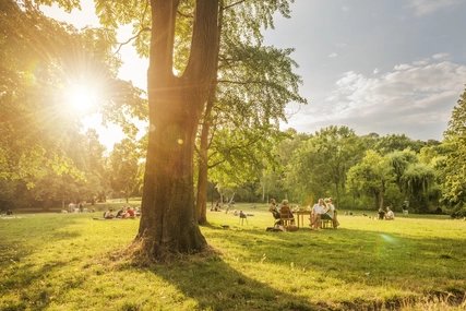 Volkspark Friedrichshain Berlin im Sommer