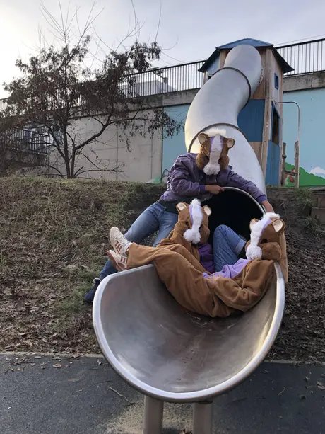 Hamsterrad