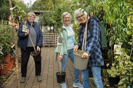 Traditionsfest mit Herbstblütenpracht, Live-Musik und Kinderprogramm
