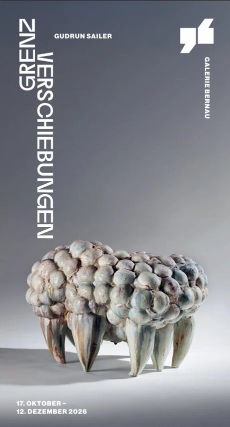 GRENZVERSCHIEBUNGEN  - Gudrun Sailer
