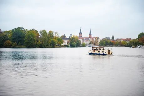 Berlin Koepenick - Kormoran
