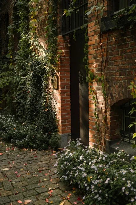Hotels in Berlin | Wilmina