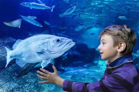 AquaDom und SEA LIFE - Attrakion in Berlin
