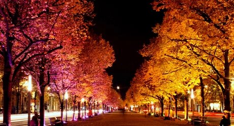 Festival of Lights