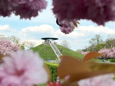Otto Lilienthal Park