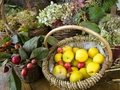 Traditionsfest mit Herbstblütenpracht, Live-Musik und Kinderprogramm Traditionsfest mit Herbstblütenpracht, Live-Musik und Kinderprogramm