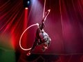 PALAZZO Berlin - Die Dinner Show im Spiegelpalast