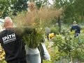 Traditionsfest mit Herbstblütenpracht, Live-Musik und Kinderprogramm Traditionsfest mit Herbstblütenpracht, Live-Musik und Kinderprogramm