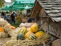 Traditionsfest mit Herbstblütenpracht, Live-Musik und Kinderprogramm Traditionsfest mit Herbstblütenpracht, Live-Musik und Kinderprogramm