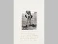 Helmut Newton, Bernice, Monaco 1994