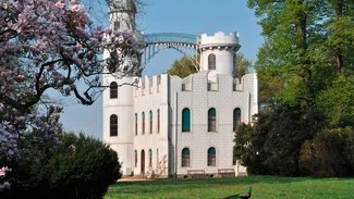 Flowering tulip magnolias at Schloss Pfaueninsel Castle in Berlin