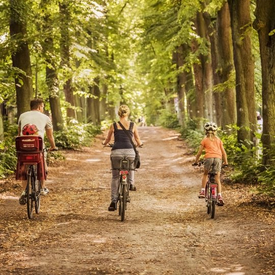 Familie auf Fahrrädern im Wald 