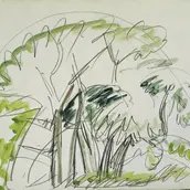 Ernst Ludwig Kirchner, Baumgruppe auf Fehmarn, 1913, Aquarell über Kreide auf Papier, Brücke-Museum