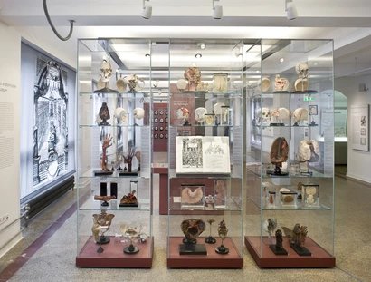 Musée d'histoire de la médecine de la Charité, salle d'exposition