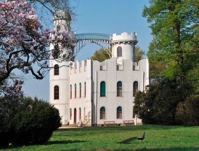 Magnolias tulipes en fleur au château de Pfaueninsel à Berlin