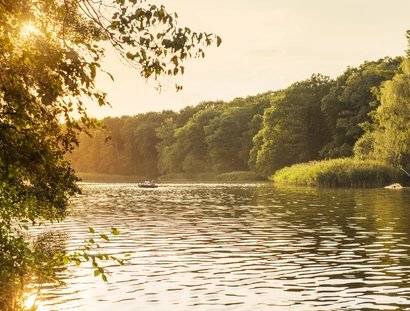 Avec le bateau à rames sur le Schlachtensee à Berlin