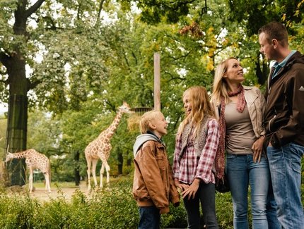 Zoologischer Garten