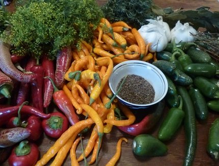 Verdure mediterranee