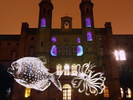 Festival of Lights