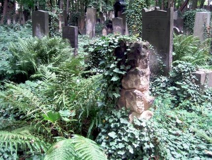 Überwucherte Grabsteine auf dem Jüdischer Friedhof in der Schönhauser Allee