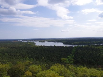 Aussicht über die Müggelberge vom Müggelturm
