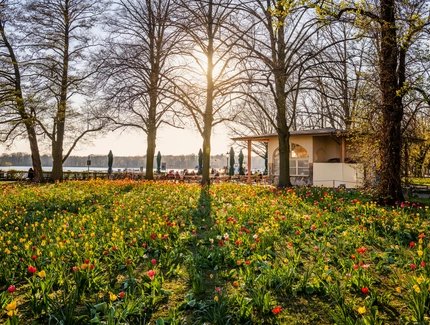 Frühling am Tegeler See