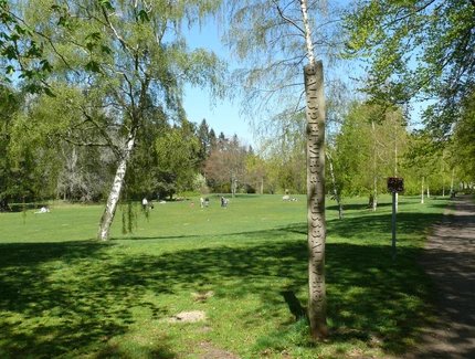 Ballspielwiese im Volkspark Rehberge 