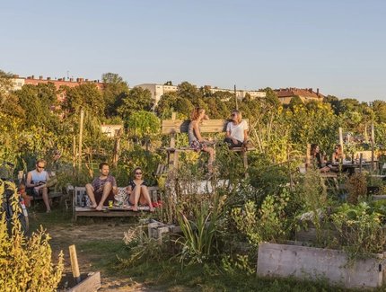 Tempelhofer Feld Berlin: Urban Gardening