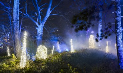 Christmas Garden 2021