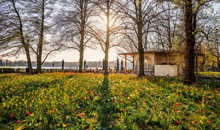 Frühling am Tegeler See